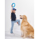футболка для девочки